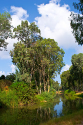 Similar image 2726098