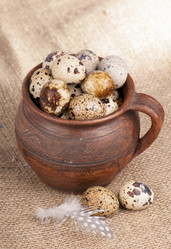 Similar image 2726164