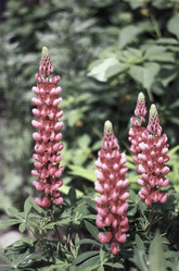 Similar image 2726335