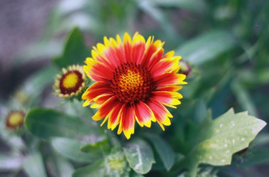 Similar image 2726336