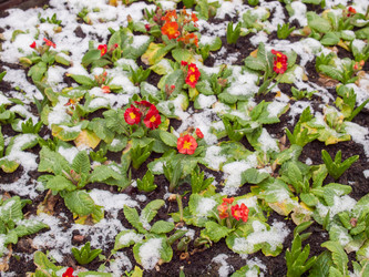 Similar image 2726385