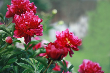 Similar image 2726415