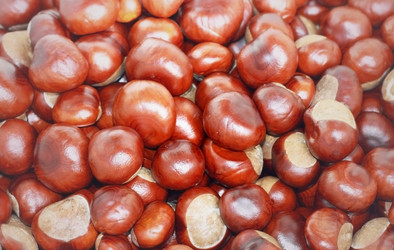 Similar image 2726450