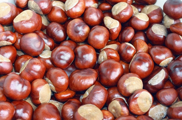 Similar image 2726451