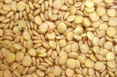 Similar image 2726507