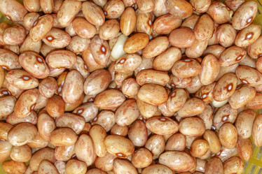 Similar image 2726590