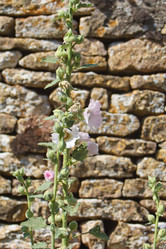 Similar image 2726894