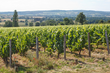 Similar image 2726918