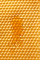 Similar image 2727040