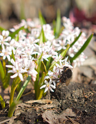 Similar image 2727083