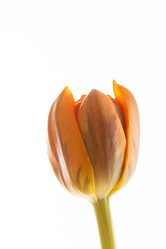 Similar image 2727140