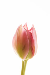 Similar image 2727141