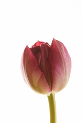 Similar image 2727142