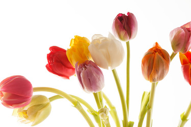 Similar image 2727143