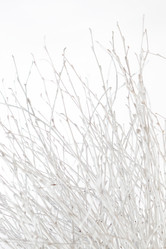 Similar image 2727144