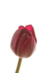 Similar image 2727145