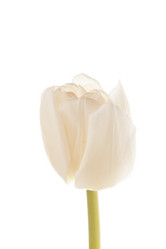 Similar image 2727154