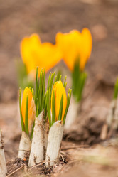 Similar image 2727170