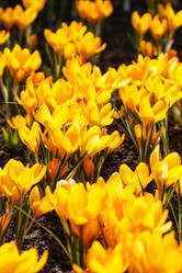 Similar image 2727171