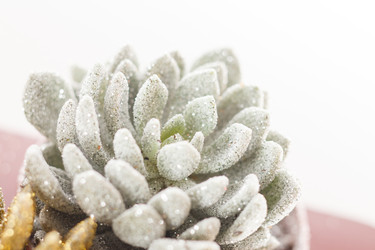 Similar image 2727188