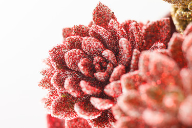 Similar image 2727190