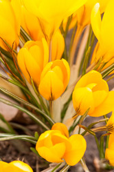 Similar image 2727197