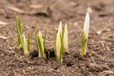 Similar image 2727198