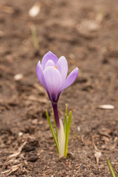 Similar image 2727199