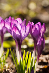 Similar image 2727205