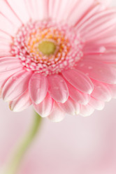 Similar image 2727210