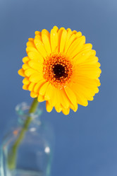 Similar image 2727212