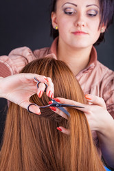 Similar image 2727225