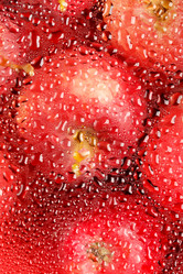 Similar image 2727308