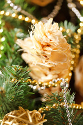 Similar image 2727340