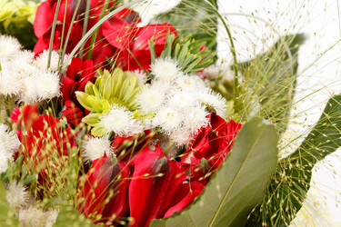 Similar image 2727351