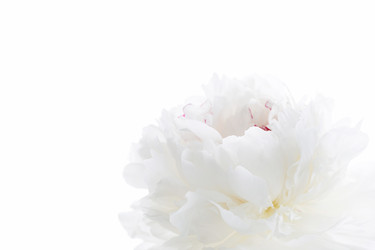 Similar image 2727366