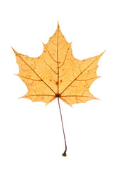 Similar image 2727383