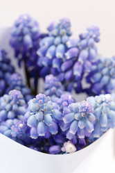 Similar image 2727384