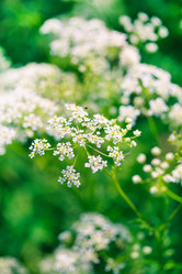 Similar image 2727425