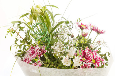 Similar image 2727426