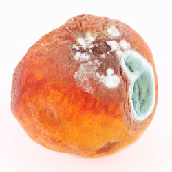 Similar image 2727429