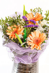 Similar image 2727432