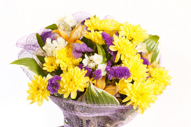 Similar image 2727433