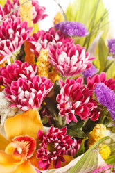 Similar image 2727434