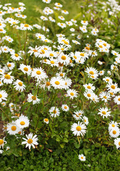 Similar image 2727436