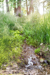 Similar image 2727448