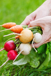 Similar image 2727453