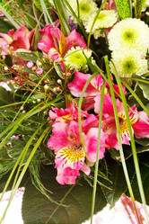 Similar image 2727462