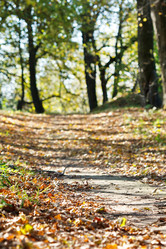 Similar image 2727466