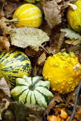 Similar image 2727473